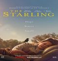 Nonton Streaming The Starling 2021 Subtitle Indonesia Poster