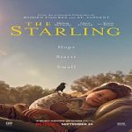 Nonton Streaming The Starling 2021 Subtitle Indonesia Online kebioskop21