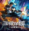 Nonton Film Ace Bodyguard 2021 Subtitle Indonesia Poster