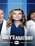 Nonton Serial Greys Anatomy Season 18 Subtitle Indonesia Poster