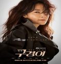 Nonton Drama Inspector Koo 2021 Subtitle Indonesia Poster