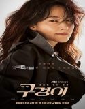 Nonton Drama Inspector Koo 2021 Subtitle Indonesia Poster