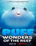 Nonton Movie Puff Wonders Of The Reef 2021 Subtitle Indonesia Poster