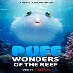 Nonton Movie Puff Wonders Of The Reef 2021 Subtitle Indonesia Online kebioskop21