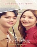 Nonton Drama Forecasting Love and Weather Subtitle Indonesia Poster
