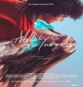 Nonton Streaming The Sky Is Everywhere 2022 Subtitle Indonesia Poster