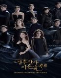 Nonton Drama Love ft Marriage and Divorce Season 3 Subtitle Indonesia Poster