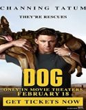 Nonton Film Dog 2022 Subtitle Indonesia Poster