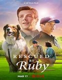 Nonton Movie Rescued By Ruby 2022 Subtitle Indonesia Poster