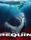 Nonton Streaming The Requin 2022 Subtitle Indonesia Poster