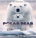 Streaming Film Polar Bear 2022 Subtitle Indonesia Poster