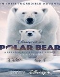 Streaming Film Polar Bear 2022 Subtitle Indonesia Poster
