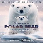 Streaming Film Polar Bear 2022 Subtitle Indonesia Online kebioskop21