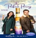 Nonton Streaming A Perfect Pairing 2022 Subtitle Indonesia Poster