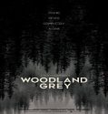 Nonton Streaming Woodland Grey 2021 Subtitle Indonesia Poster