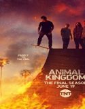 Nonton Serial Animal Kingdom Season 6 Subtitle Indonesia Poster