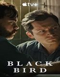 Nonton Serial Black Bird Season 1 Subtitle Indonesia Poster