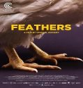 Nonton Movie Feathers 2021 Subtitle Indonesia Poster