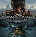 Nonton Black Panther Wakanda Forever 2022 Subtitle Indonesia Poster
