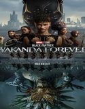 Nonton Black Panther Wakanda Forever 2022 Subtitle Indonesia Poster