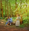 Nonton Everglow 2021 Subtitle Indonesia Poster