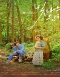 Nonton Everglow 2021 Subtitle Indonesia Poster