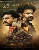 Nonton RRR 2022 Subtitle Indonesia Poster