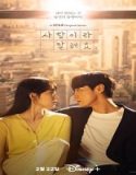 Nonton Drama Call It Love Subtitle Indonesia Poster