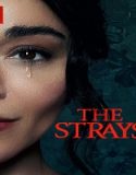 Nonton The Strays 2023 Subtitle Indonesia Poster