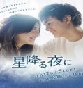 Nonton Drama On a Starry Night Subtitle Indonesia Poster