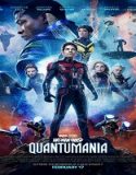 Nonton Ant-Man and the Wasp Quantumania 2023 Sub Indonesia Poster