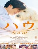Nonton Haw 2022 Subtitle Indonesia Poster