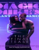 Nonton Magic Mikes Last Dance 2023 Subtitle Indonesia Poster