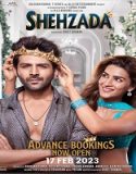 Nonton Shehzada 2023 Subtitle Indonesia Poster
