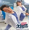 Nonton Drama Doctor Cha 2023 Subtitle Indonesia Poster