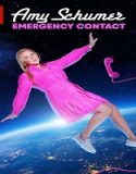 Nonton Amy Schumer Emergency Contact 2023 Subtitle Indonesia Poster
