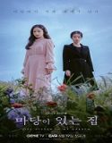 Nonton Drama Lies Hidden in My Garden 2023 Subtitle Indonesia Poster