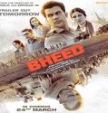 Nonton Bheed 2023 Subtitle Indonesia Poster