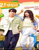 Nonton Drama Oh Youngsim 2023 Subtitle Indonesia Poster