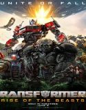 Nonton Transformers Rise of the Beasts 2023 Subtitle Indonesia Poster