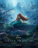 Nonton The Little Mermaid 2023 Subtitle Indonesia Poster