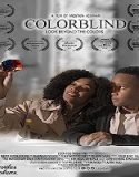 Nonton Colorblind 2023 Subtitle Indonesia Poster