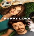 Nonton Movie Puppy Love 2023 Subtitle Indonesia Poster
