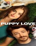 Nonton Movie Puppy Love 2023 Subtitle Indonesia Poster