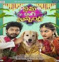 Nonton Slum Dog Husband 2023 Subtitle Indonesia Poster