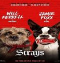Nonton Movie Strays 2023 Subtitle Indonesia Poster