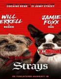 Nonton Movie Strays 2023 Subtitle Indonesia Poster