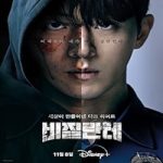 Link Nonton Drama Korea Vigilante 2023 Subtitle Indonesia Online kebioskop21