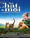 Nonton A Cats Life 2023 Subtitle Indonesia Poster