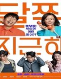 Nonton Honeysweet 2023 Subtitle Indonesia Poster